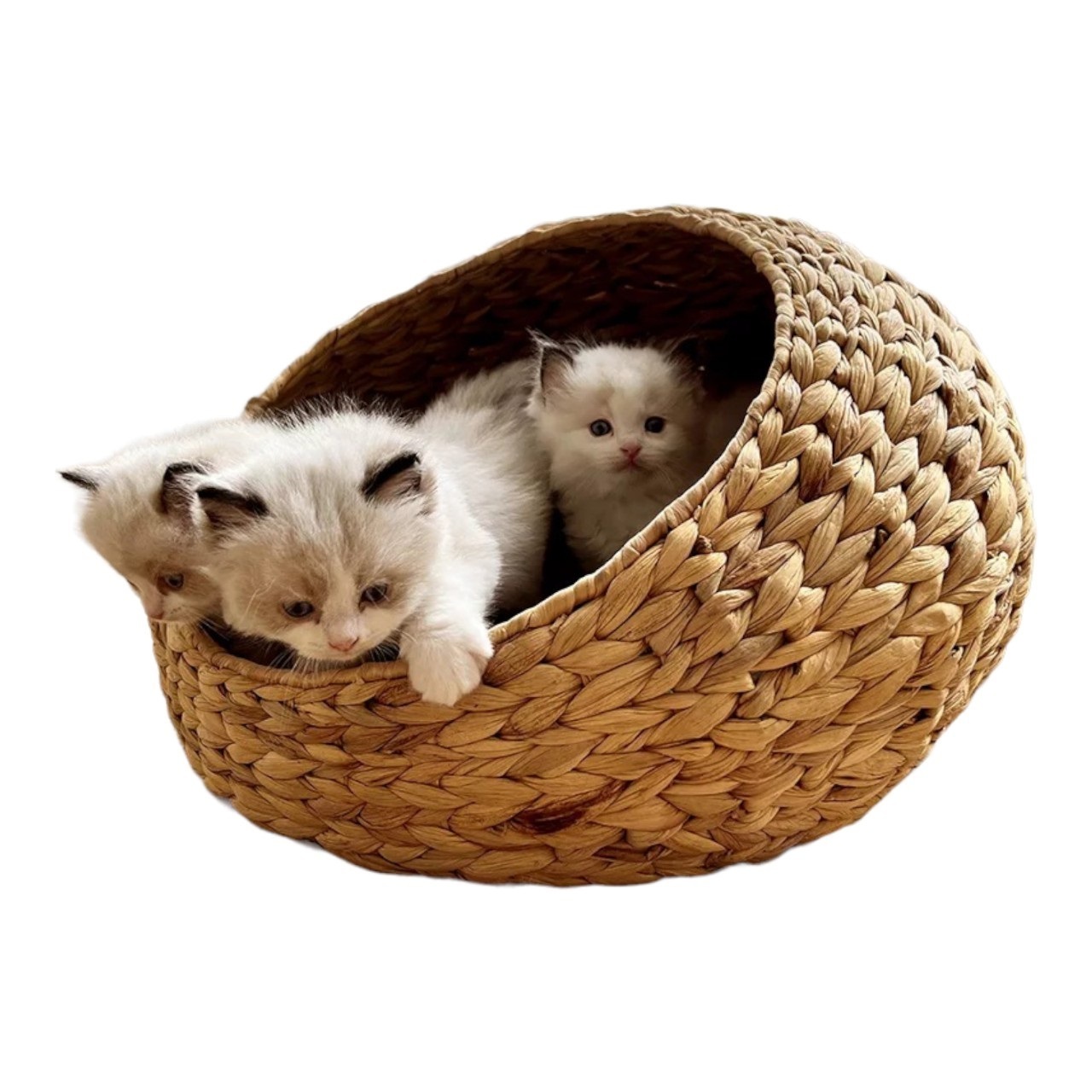 Handmade Water Hyacinth Luxury Pet Soft Bed Rattan Pet House Woven Cat & Dog Sleeping Basket Beds in viet nam