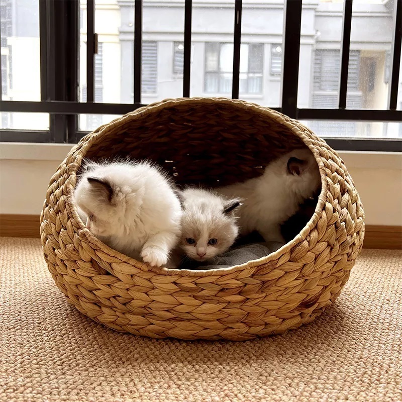 Handmade Water Hyacinth Luxury Pet Soft Bed Rattan Pet House Woven Cat & Dog Sleeping Basket Beds in viet nam