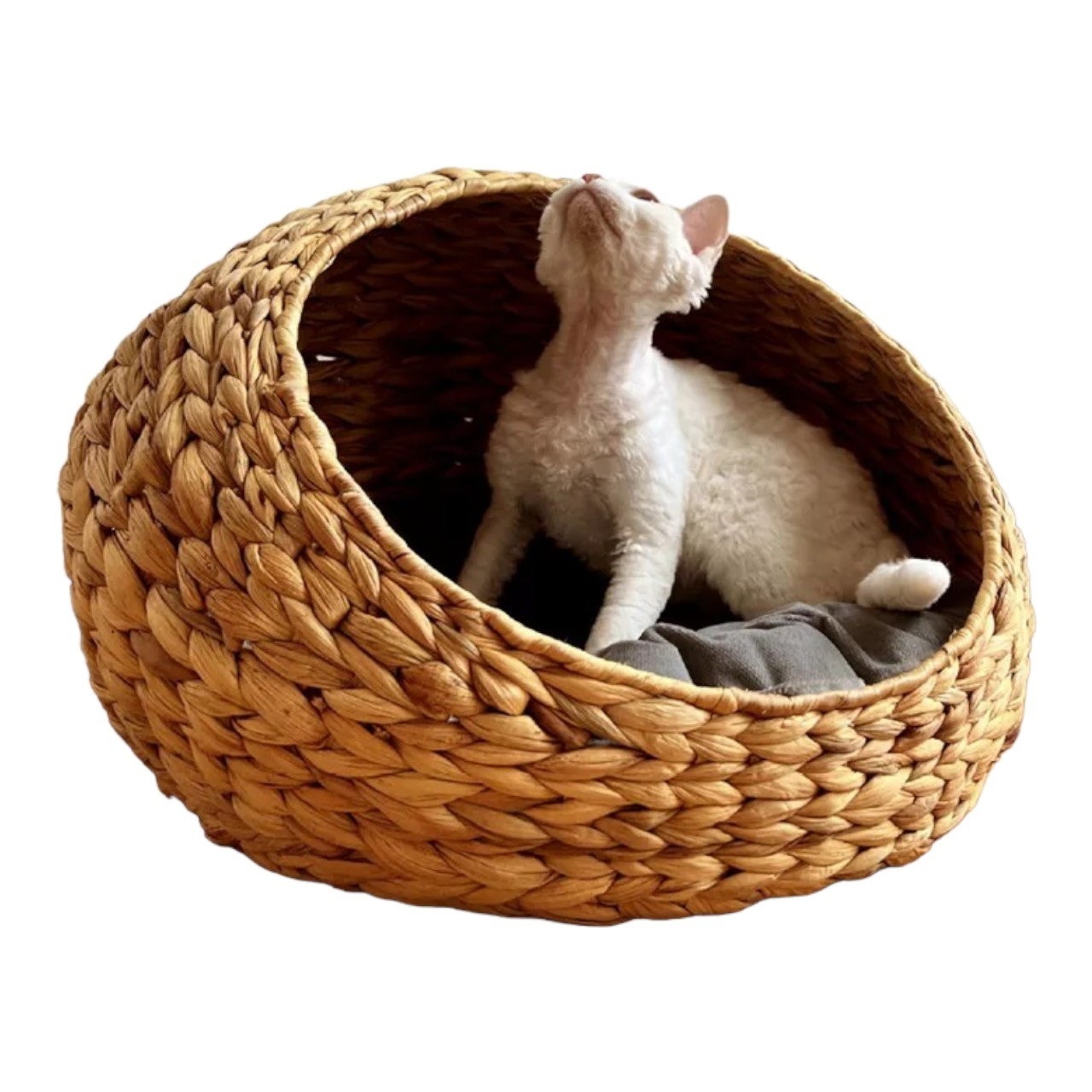 Handmade Water Hyacinth Luxury Pet Soft Bed Rattan Pet House Woven Cat & Dog Sleeping Basket Beds in viet nam