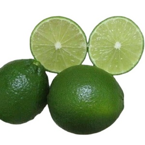 New Seedless Lime Fresh Fruits Arrival Ready To Export Worldwide - High Quality Cheap Price OEM Packing