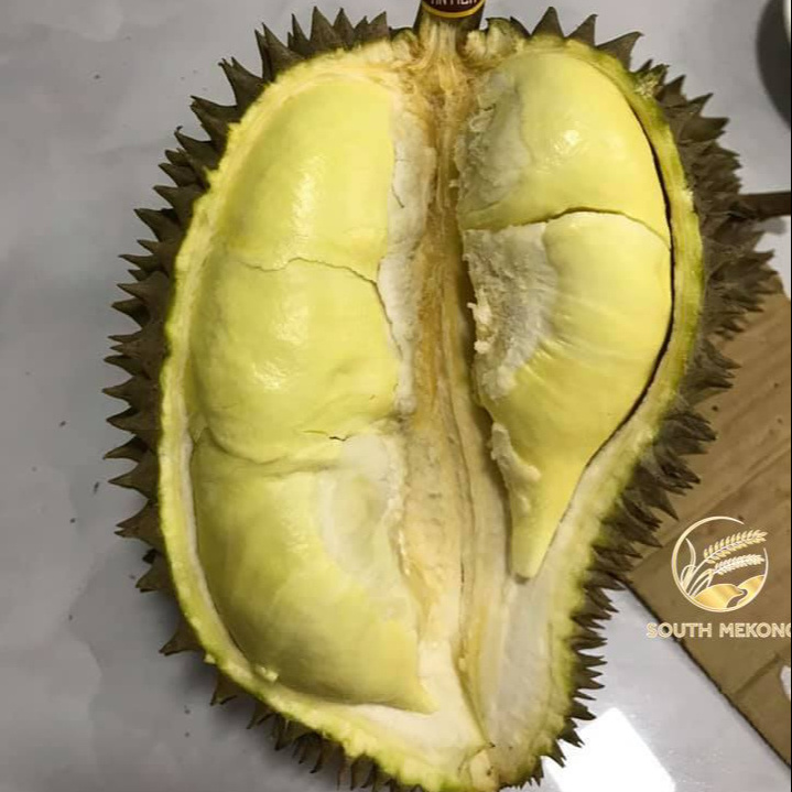 Frozen Durian for export . Whatsapp +84 976727907 Ms Carolina