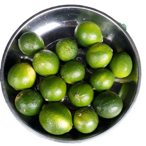 Top Fresh Lime Lemon Seedless Citrus Sour Taste High Quality For Export Color Natural Origin Wholesale Global WA84786436556