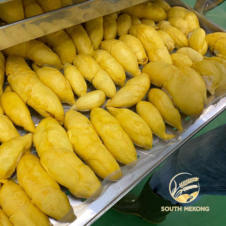 Frozen Durian for export . Whatsapp +84 976727907 Ms Carolina