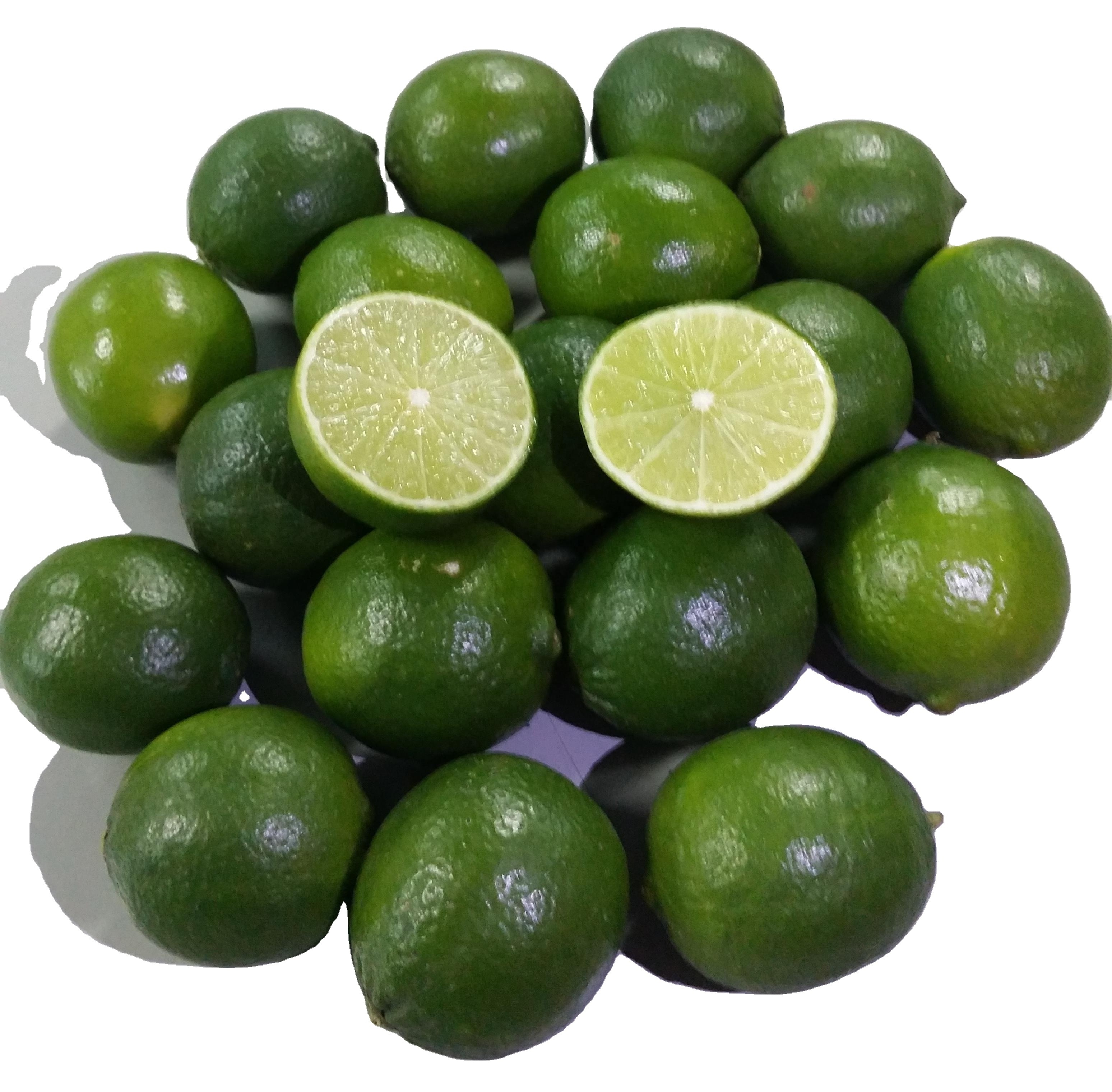 Fresh Viet Lemon Best Quality Wholesale  Natural Citrus Good Price From Mekong Delta Vietnam For Export