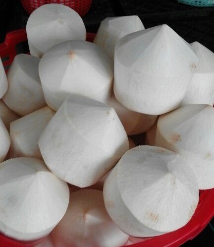 FRESH COCONUT DIAMOND SHAPE FROM VIETNAM PACKING FOR DIRECTLY USE . WHATSAPP +84 976727907 FOR QUOTATION