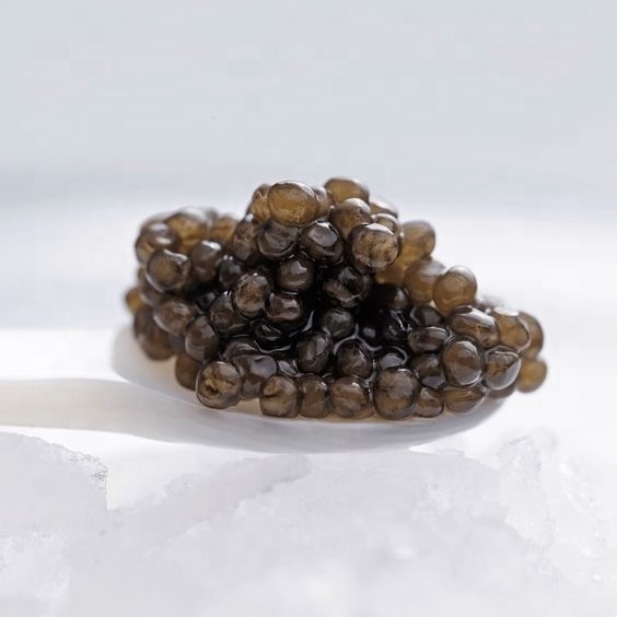 Imperial caviar 113 gram Canned Caviar for Food Black Caviar Frozen Fish Roe Sturgeon Fish Roe Salt Instant Food