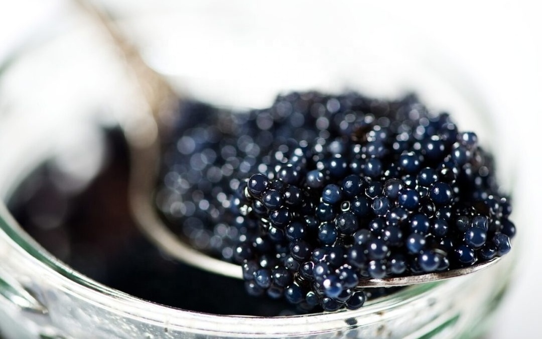 Premium Quality Royal Caviar 57g Sturgeon Caviar Black Caviar Canned for Food Sturgeon Fish Roe Salt Instant Food