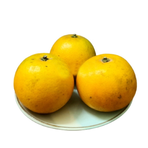 Low Best Price For Fresh Orange Fruit Wholesale Valencia Navel Orange 100% Sweet Taste And Fresh Citrus