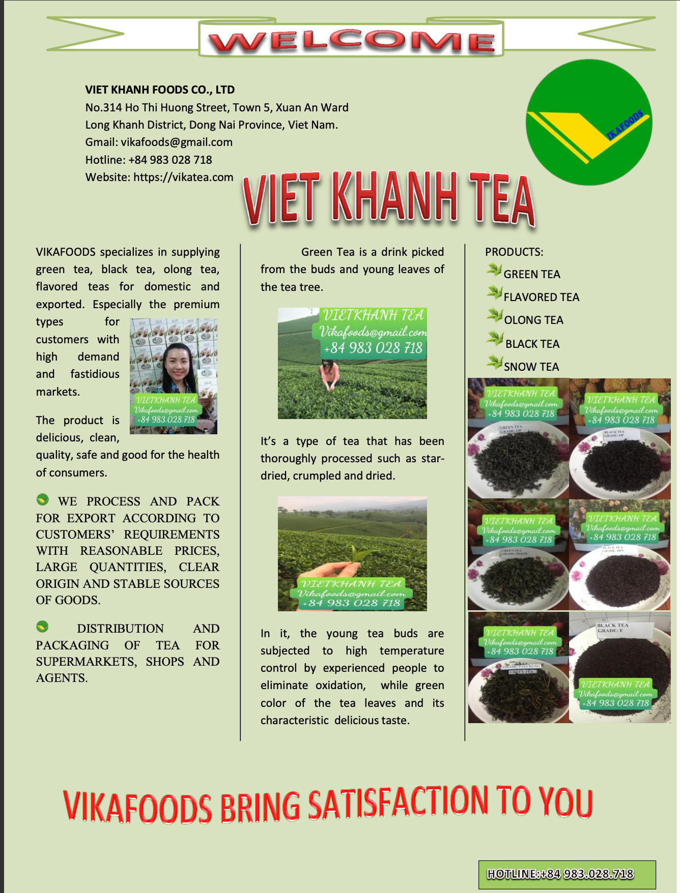 Wholesale Wonderland and Attractive Irresistible Black Tea Leaves for importer and for buyer