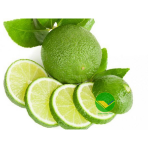 Wholesale Delights and Retail Ready Fresh Lime Green Lemon Seedless Vietnam for wholesaler and for importer