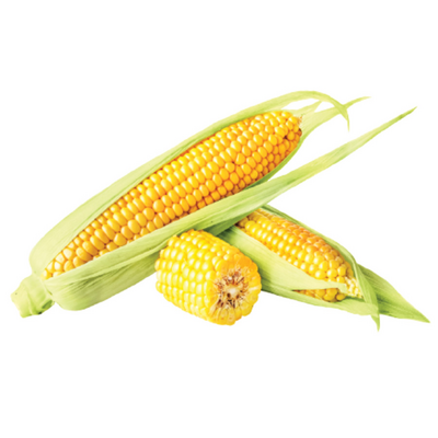 High quality and best price IQF Frozen Sweet corn baby corn canned frozen baby corn From Vietnam wholesale for Foods Cuisine