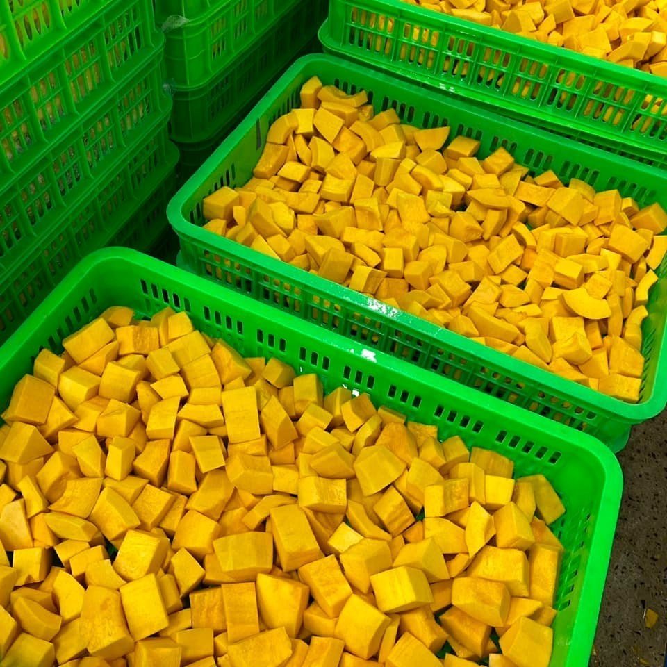 Hot News Bulk Buyers Beware and Attractive Irresistible frozen fruit Frozen Pumpkin for importer