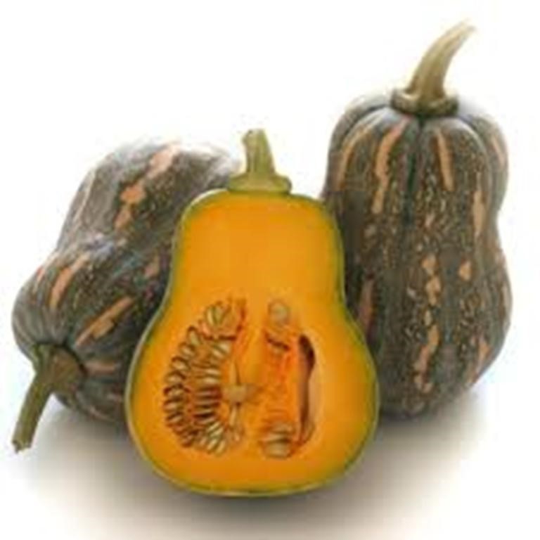 Attractive Irresistible Fresh Pumpkin Fresh Pumbkin dice slice OEM shape and packing for importer or wholesaler