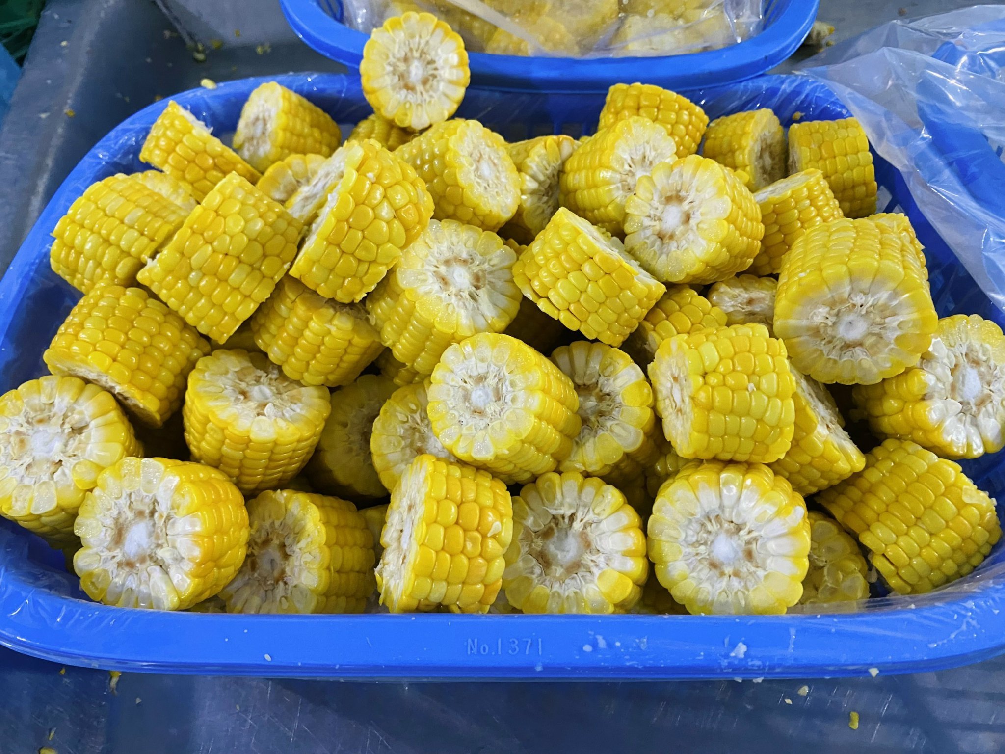 High quality and best price IQF Frozen Sweet corn baby corn canned frozen baby corn From Vietnam wholesale for Foods Cuisine