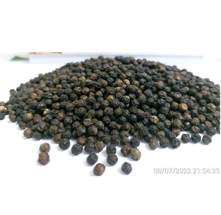 Delicious Vietnam High Quality Black Pepper Exporting (WhatsApp/ Wechat: +84 983 028 718).