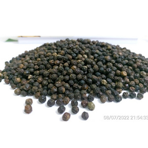 Delicious Vietnam High Quality Black Pepper Exporting (WhatsApp/ Wechat: +84 983 028 718).