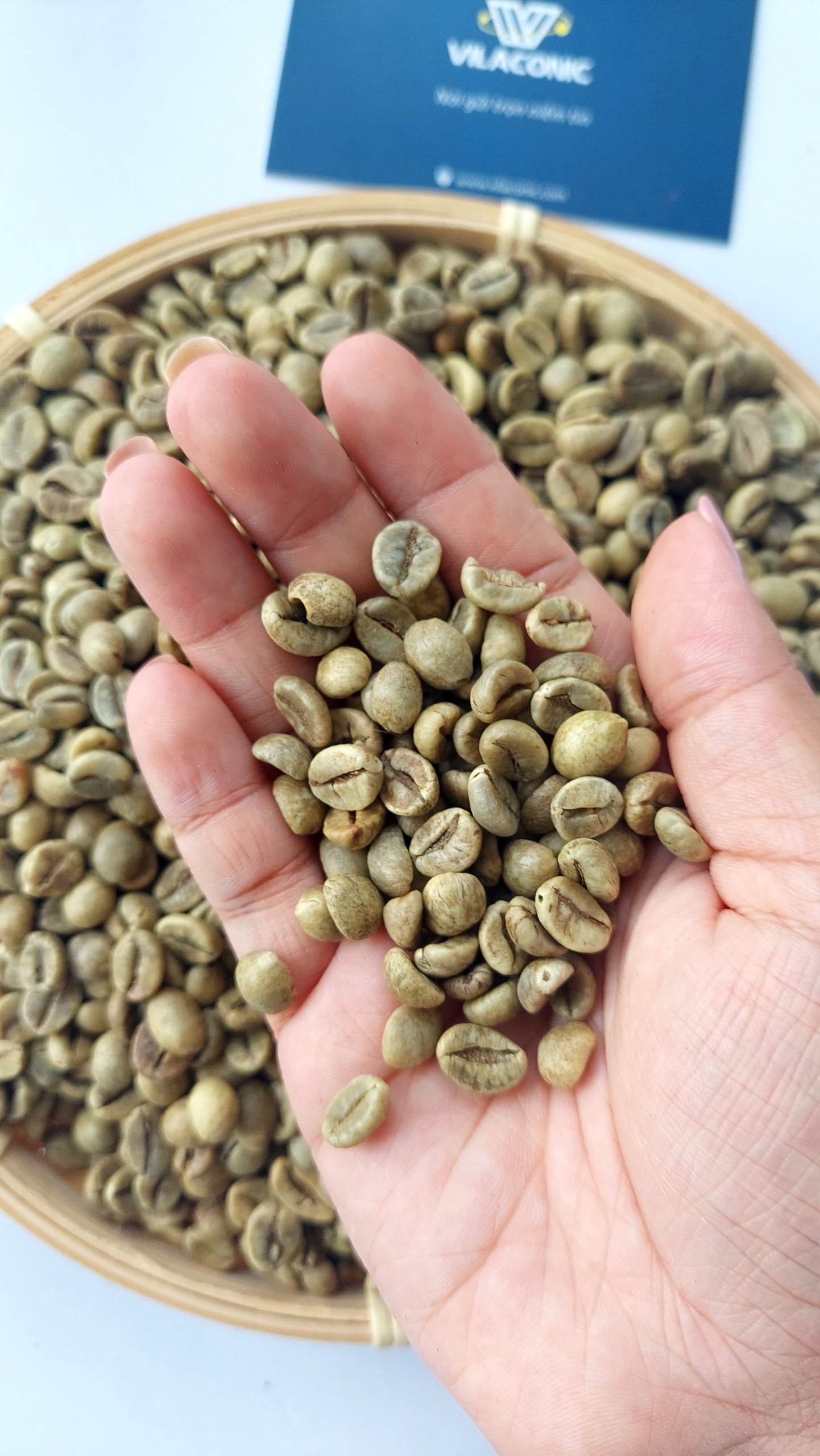 Natural Energy Boost Perfect For Coffee Aficionados Premium Agricultural Wholesale Indonesian Robusta Green Beans | +84838366717