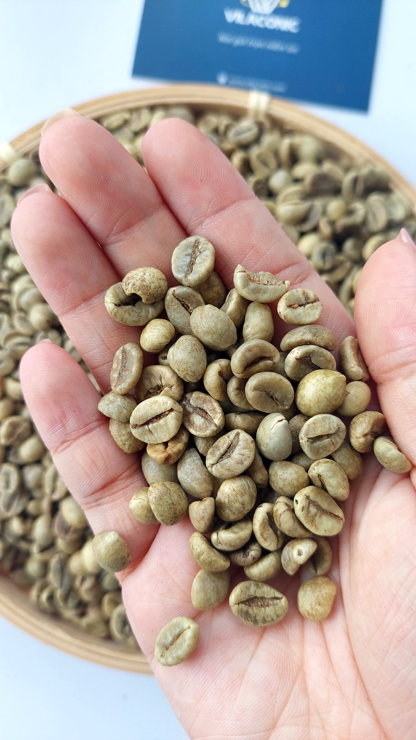 Natural Energy Boost Perfect For Coffee Aficionados Premium Agricultural Wholesale Indonesian Robusta Green Beans | +84838366717