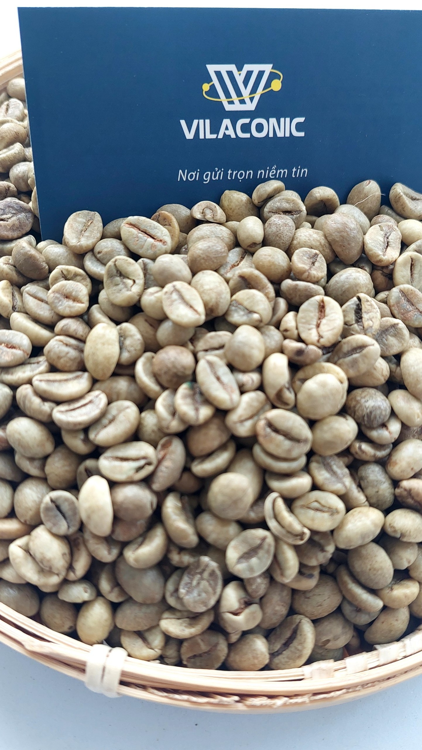 Natural Energy Boost Perfect For Coffee Aficionados Premium Agricultural Wholesale Indonesian Robusta Green Beans | +84838366717