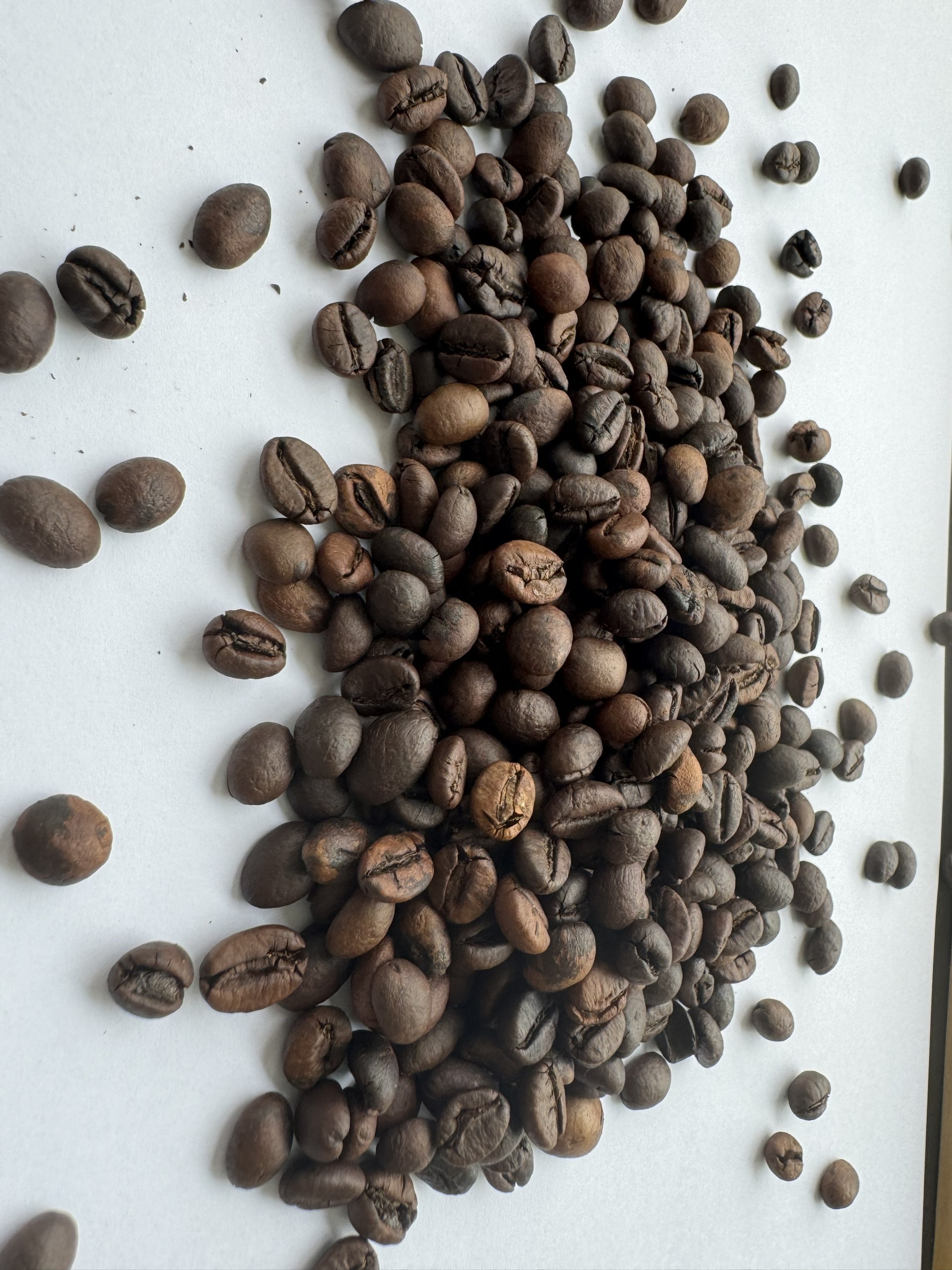 Coffee Aficionados Premium Agricultural Wholesale Indonesian Robusta Green Beans Natural Energy | +84838366717 (Ms.Lyna)