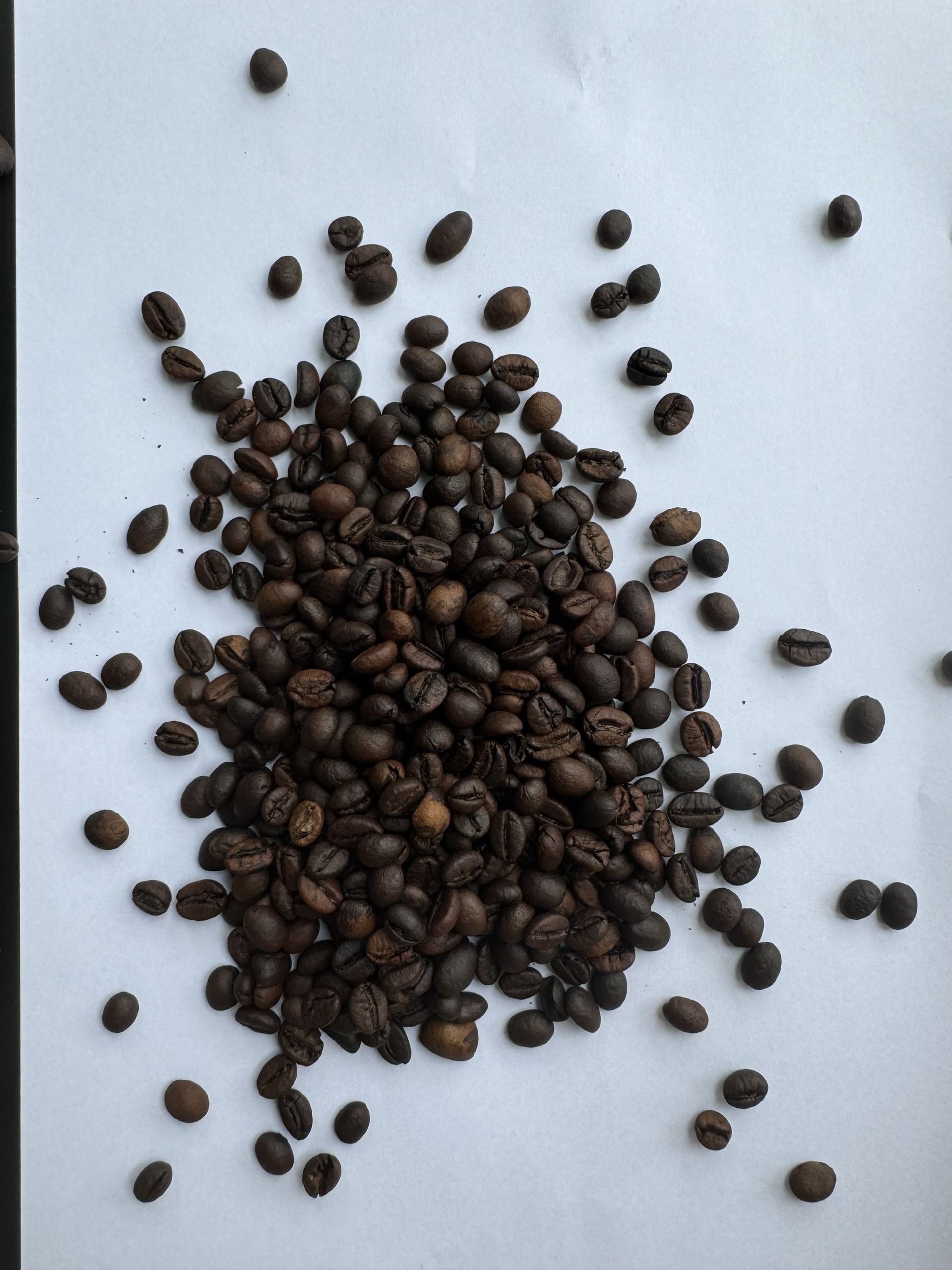 Coffee Aficionados Premium Agricultural Wholesale Indonesian Robusta Green Beans Natural Energy | +84838366717 (Ms.Lyna)