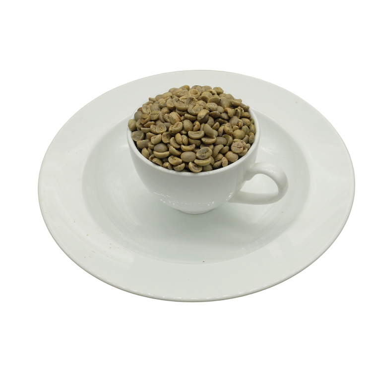 Natural Energy Boost Perfect For Coffee Aficionados Premium Agricultural Wholesale Indonesian Robusta Green Beans | +84838366717