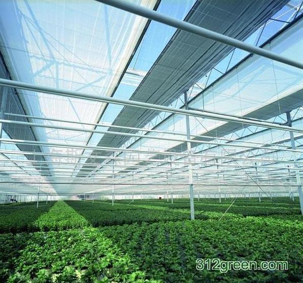 New Cheap PE sunshade net with UV for agriculture from Vietnam