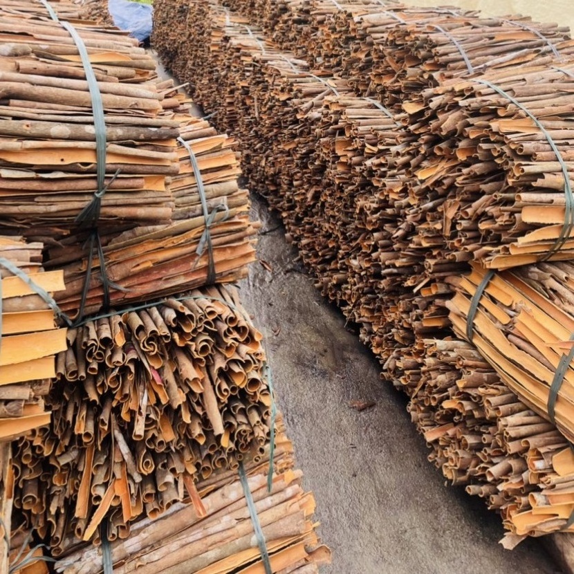 Good Price Natural Quality Split Cassia Customized Length Cinnamon Stick 25-45cm