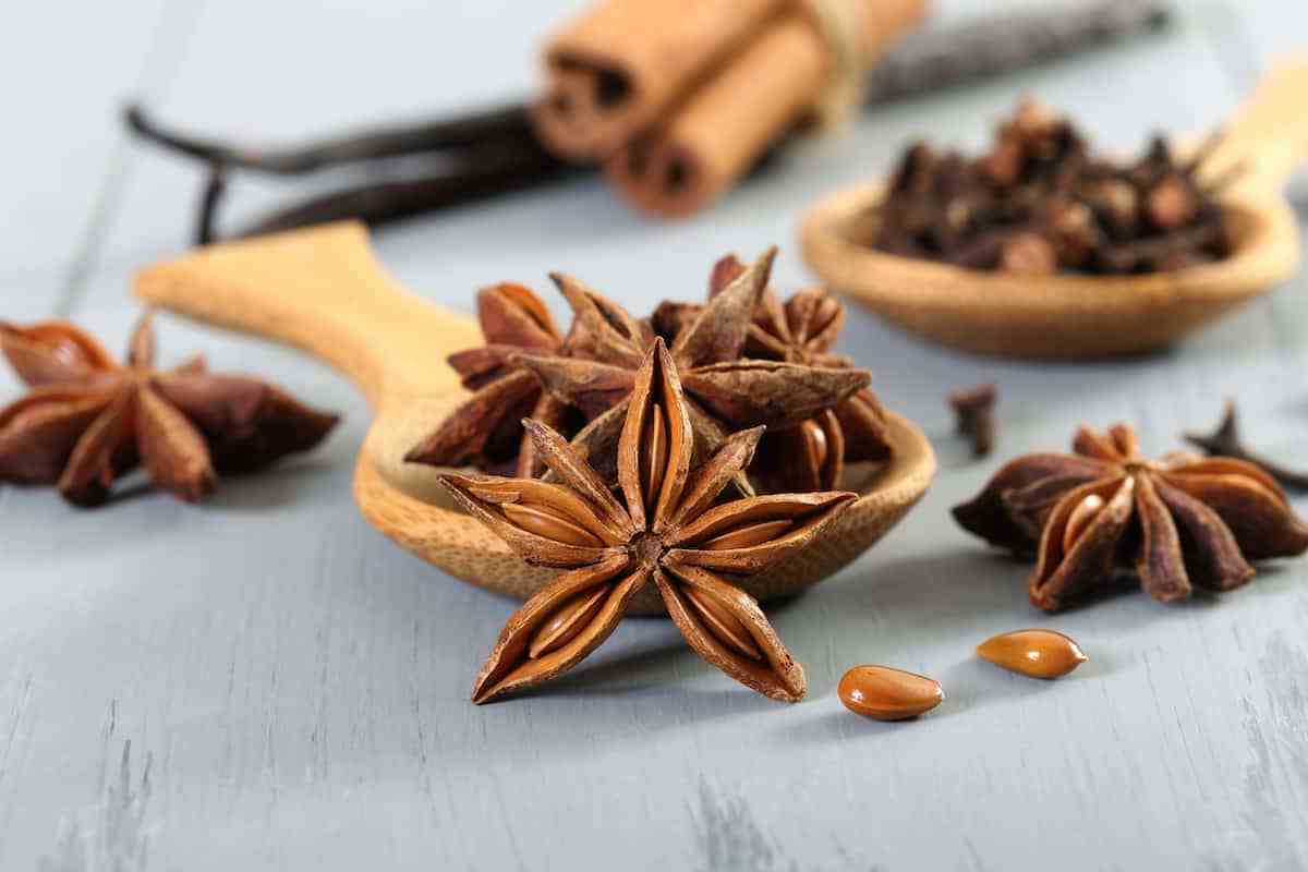 Factory Wholesale Customized Price Of China Dried Aniseed Seed Whole Star Anise anise seeds Spice