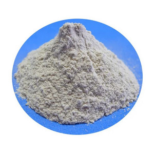 Vietnam supplier Coated calcium carbonate Caco3 powder whiteness 98% for plastic paint paper industry