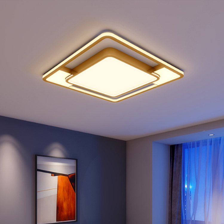 Home Hanging Lighting  LED surfacemount Lights For Living Room Bedroom Dining Room Pendant Lamp