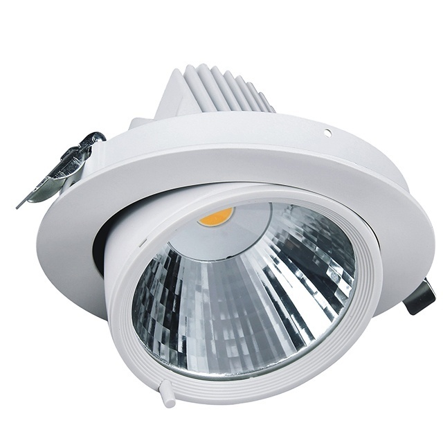 LED Cob Downlight Adjustment Downlight Design High lumen 30W Cob Universal Joint LED Spotlight