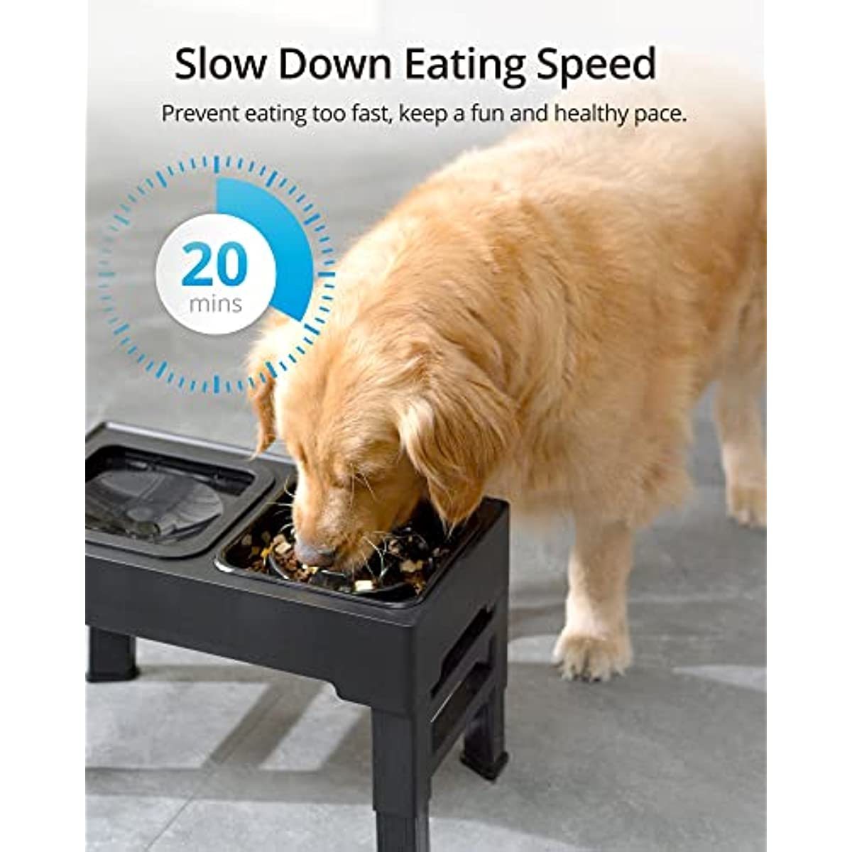 Elevated Slow Feeder Dog Bowls Raised Stand with Non Spill Dog Water Bowl Adjustable Dog Food Bowl