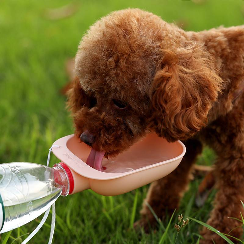 Pet Dog Water Bottle Feeder Mini Dog Water Bowls Pet Supplies Portable Dog Bowl Travel for Puppy Cat Outdoor Bowls Water Bottles