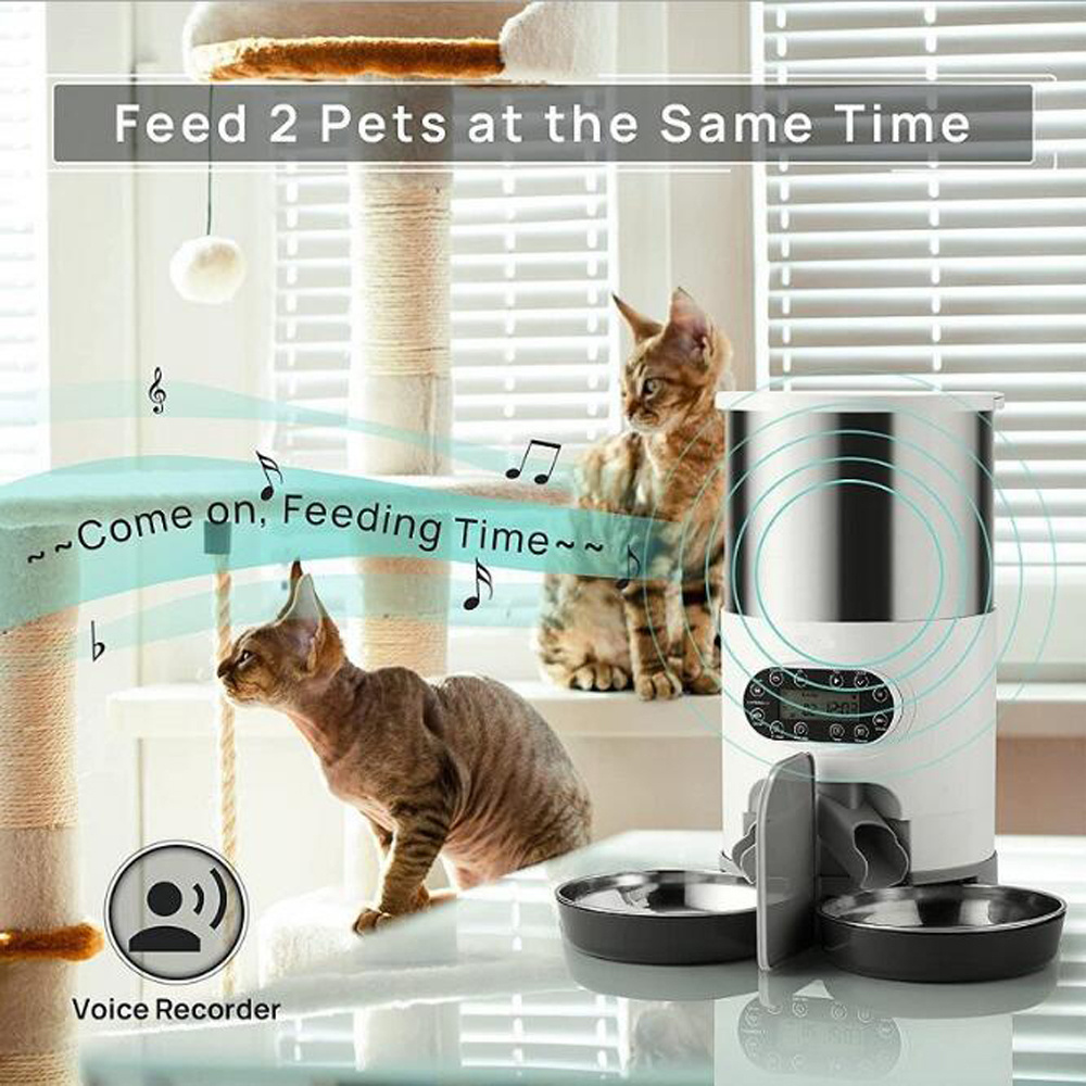 Smart APP Pet Feeder Cat Dog Feeder Automatic Pet Feeder Dispenser 304 Stainless Steel Bowl With Recording Timing Pet Feeding