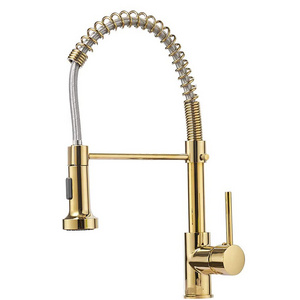 Vaguel Lead-Free pre rinse Single Handle high arc brushed golden kitchen sink faucet with Pull Down Sprayer