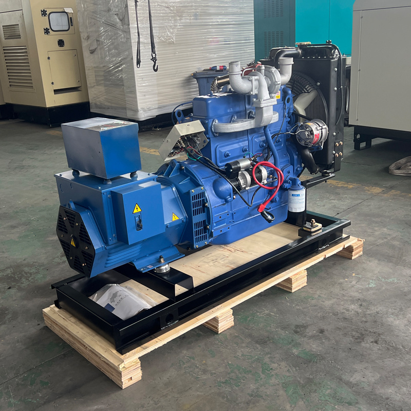 Ricardo Generator 30KW/37.5KVA With Weifang 4100D Engine Copper Alternator Three Phase For Home Use