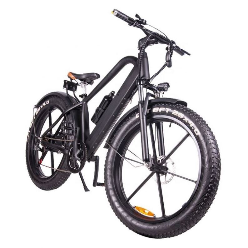 Factory Supply China Factory Price Electric Fat Tire Bike Sidecar