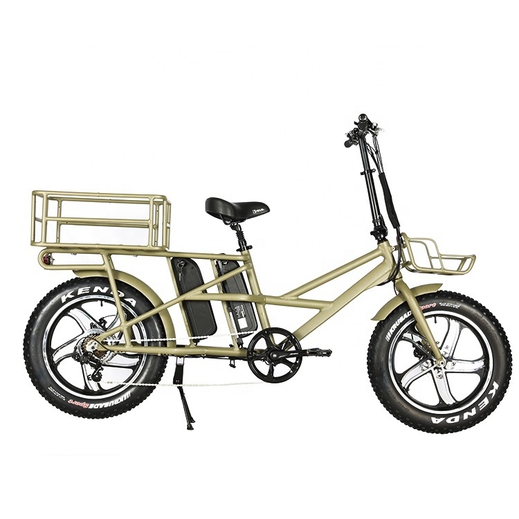 Long Range 120Km Electric Cargo Bike With 20