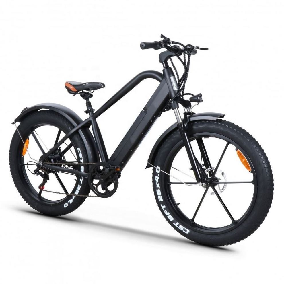 Factory Supply China Factory Price Electric Fat Tire Bike Sidecar