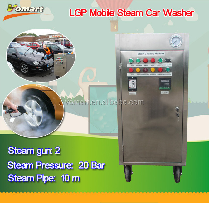 CE 20 bar two steam gun LPG mobile dry steam car wash/steam optima steamer for sale