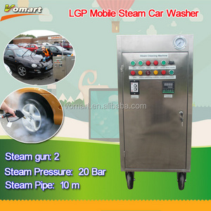 CE 20 bar two steam gun LPG mobile dry steam car wash/steam optima steamer for sale