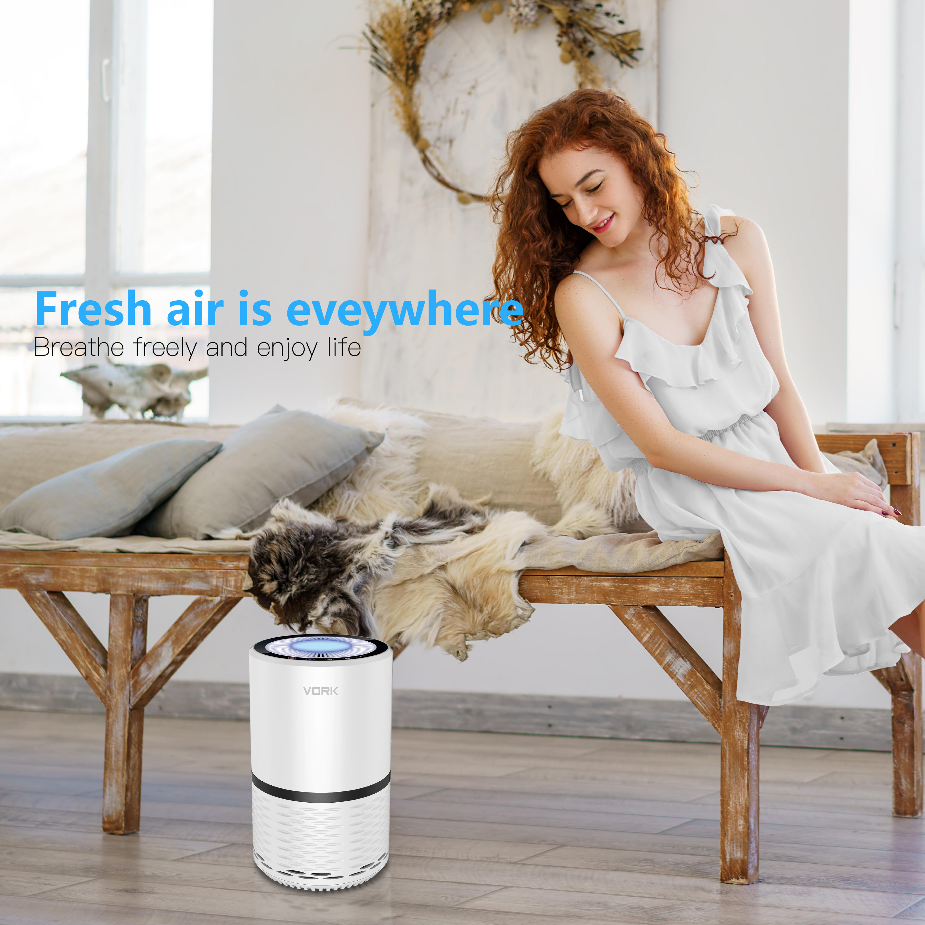 Wholesale Home Furnishings Business Beautiful Type Best Negative Ion smoke air purifier