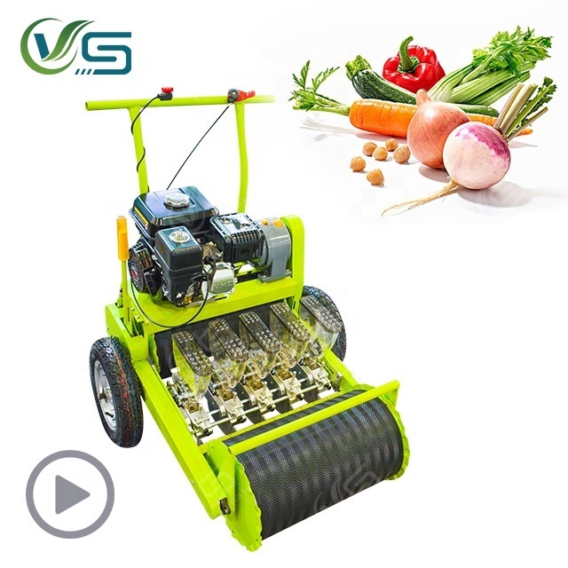 Hand seeding machine onion planting machine seeder garlic vegetable planter