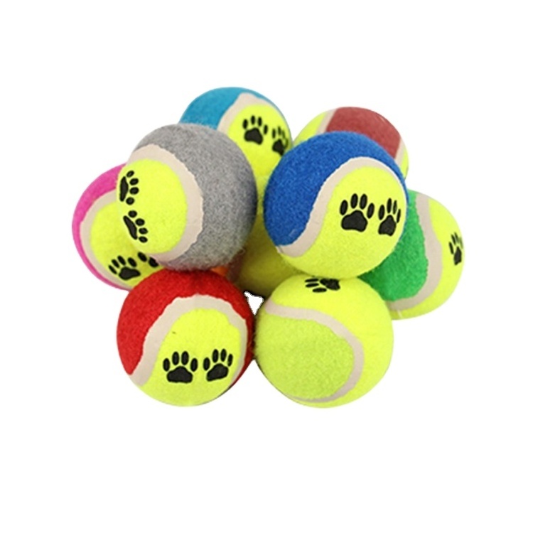 Normal radical mini tenis ball hyper pet picker dog fetch toy pick up tube de collector smart cat tennis ball for toss feeder