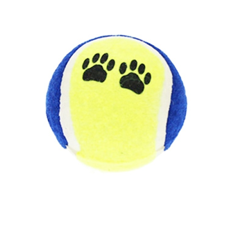 Normal radical mini tenis ball hyper pet picker dog fetch toy pick up tube de collector smart cat tennis ball for toss feeder