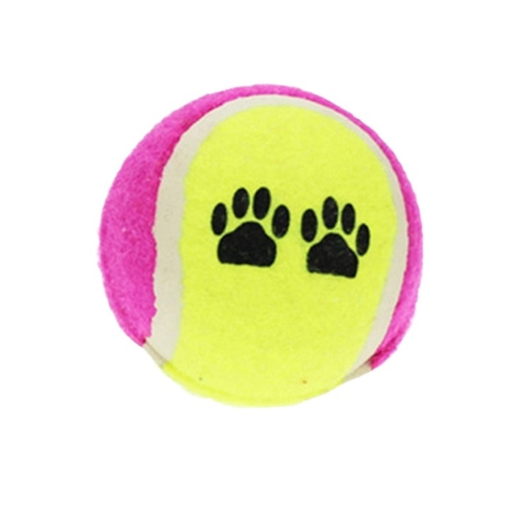 Normal radical mini tenis ball hyper pet picker dog fetch toy pick up tube de collector smart cat tennis ball for toss feeder