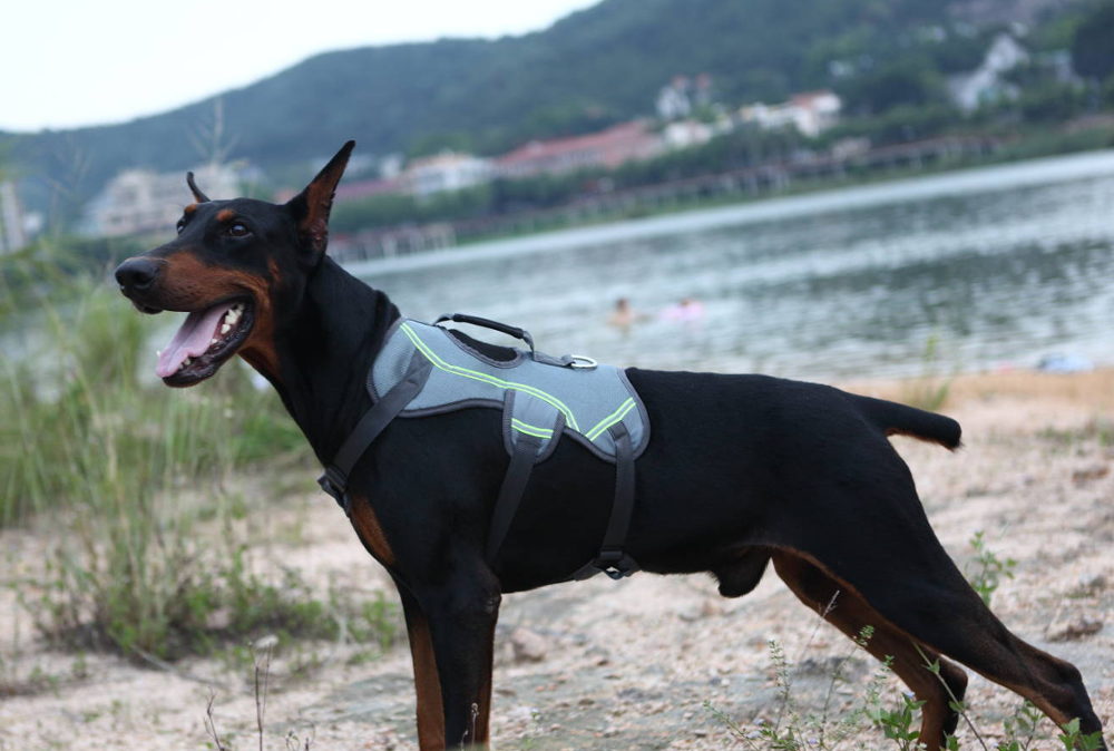 eva mesh soft fluorescent easy walk large pet supplies manufacturers wholesale pet harness nylon dog harness backpack