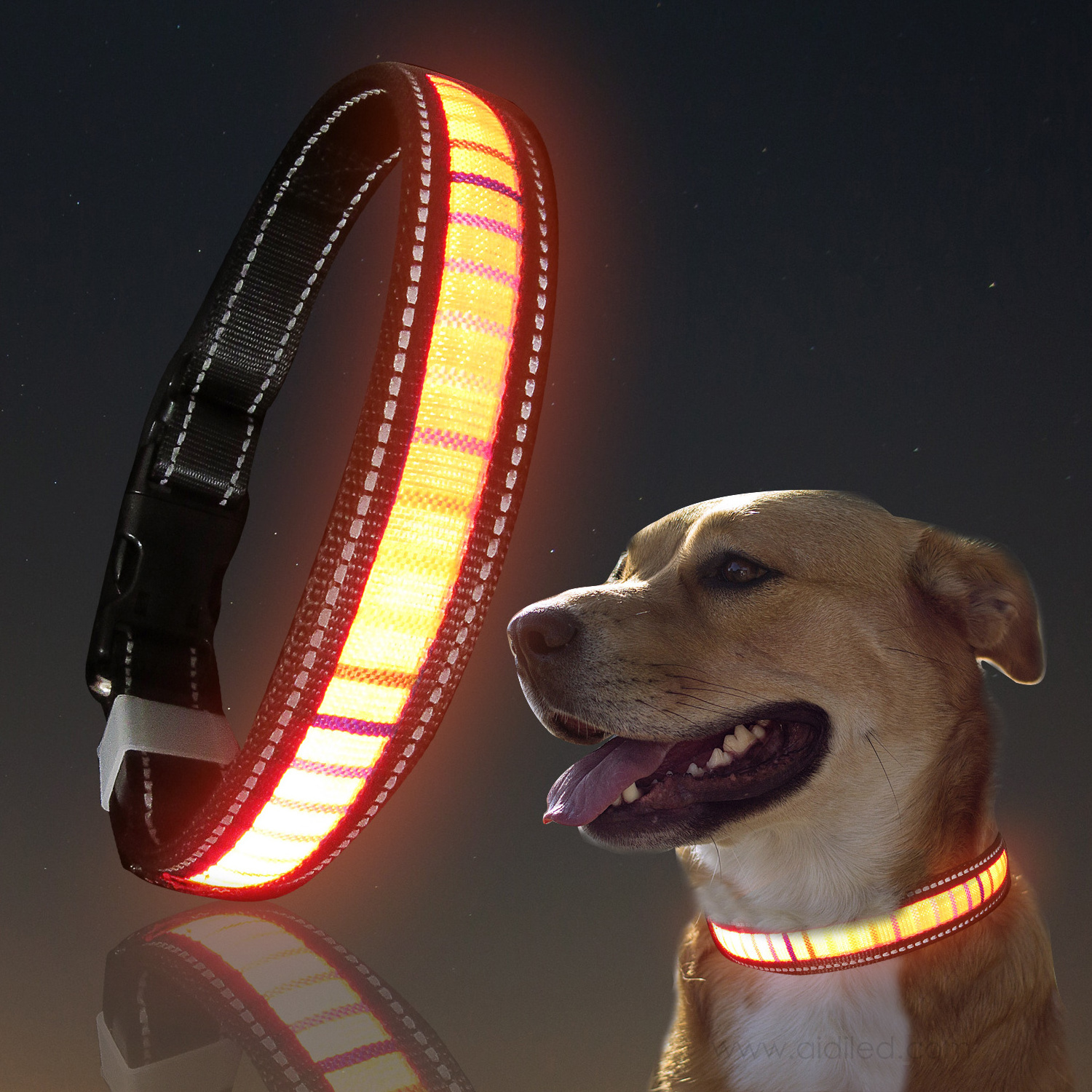 Lovoyager Working Nigh Lighting Cool Safely Walking LED Dog Collar