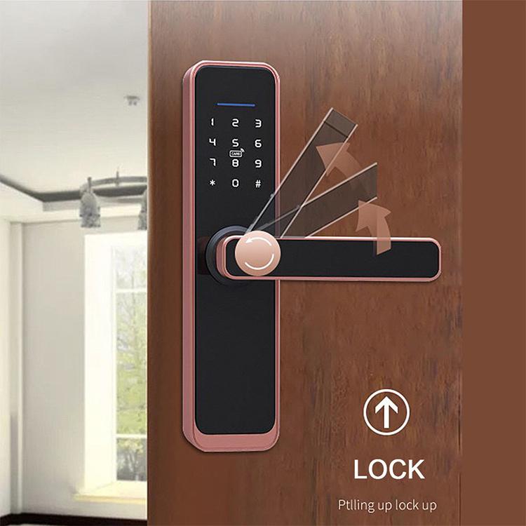 Custom Touch Screen Fingerprint Code 3D Face Recognition Electronic Handle Home Apartment Tuya wifi z Smart Door Lock